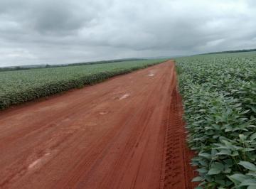 Rural · 25160000m² · FAZENDA A VENDA ENTRE PEDRO AFONSO E SANTA MARIA DO TOCANTINS-TO