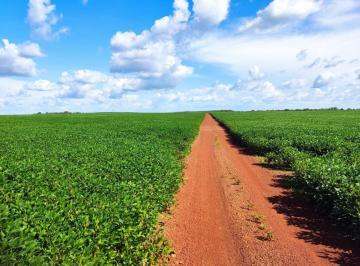 Rural · 25160000m² · FAZENDA A VENDA ENTRE PEDRO AFONSO E SANTA MARIA DO TOCANTINS-TO