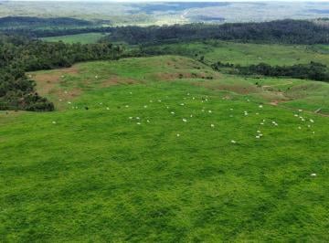 Rural de 6 quartos, Peixoto de Azevedo · Fazenda em união do Norte