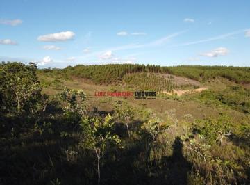 ILH_891_2024-01-30_10-48-01.jpg · Venda, Rodovia MG 10, Baldim - Baldim, Almeida, Jaboticatubas, MG, Brasil