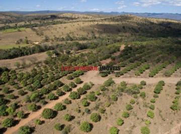 ILH_892_2023-12-06_11-08-39.jpg · Venda, Rodovia MG 10, FAZENDA SANTO EXPEDI - FAZENDA SANTO EXPEDITO, Serra do Cipo, Jaboticatubas, M