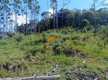 bocz1nc2nzg5mdgzmwyynza3_md · Linda Chácara 5.000m², água de nascente em Santo Amaro da Imperatriz/SC