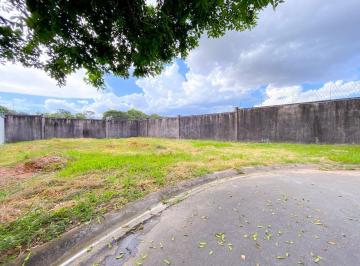 Foto 01 · Terreno com 388m²