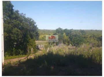 f82d338fe9b84997277bf84d390a145d.jpg · Fazenda com 2.090 hectares, dupla aptidão, cercada com arame liso