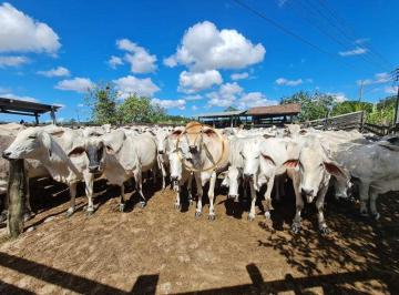 Rural · 2516800m² · Fazenda à venda no bairro Banqueiros- Araruama/RJ