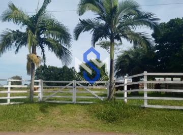 Foto 01 · Chácara/sítio/fazenda, Vila Palmeira, Santo Antônio da Patrulha, RS