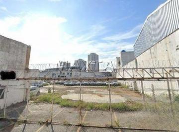 Terreno · 1500m² · Terreno - lote para locação em Vila Carrão Zona leste de São Paulo , 1500m².