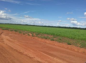 Rural · 19850000m² · FAZENDA A VENDA NA REGIÃO DE FELIZ NATAL-MT!!