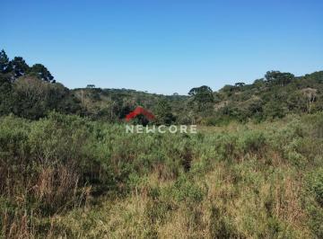 Rural · 20m² · 1 Quarto · 3 Vagas · Chácara em  Rua João Bortolan - Colônia Murici - São José dos Pinhais/PR