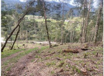 Rural , Urubici · Terreno em Urubici - 2 hectares na localidade de Rio dos Bugres