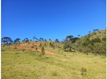 Rural , Urubici · Terreno em Urubici - 4,26 hectares na localidade de Rio Crioulas