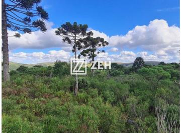 Rural , Urubici · Fazenda com 137 Hectares em Urubici -Ideal para Turismo Rural, Pecuária ou Lazer