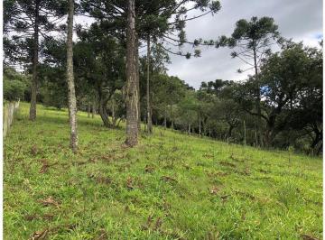 Terreno , Urubici · Terreno em Urubici - 160.000m² nas margens da Rodovia