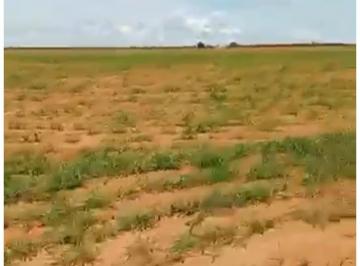 Rural de 3 quartos, Brasília · FAZENDA RANCHO ALEGRE MT-CIDADE FELIZ NATAL COM 2.100 HECTARES ÓTIMA P/ PLANTAR!