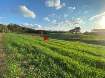 Rural · 114345m² · Chácara com 114.345m² , à venda, no bairro Colônia Murici em São José dos Pinhais