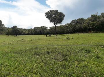 2023032116465155091.jpg · Fazenda para Venda em Barrolândia