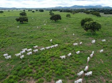20230322105054787458.jpg · Fazenda para Venda em Aliança do Tocantins, 6 dormitórios