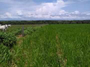 20230409212122871606.jpg · Fazenda para Venda em Guaraí
