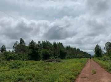 20230425150325375328.jpg · Fazenda para Venda em Miracema do Tocantins, 5 dormitórios