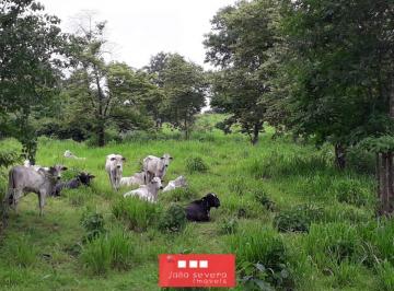 2023080122182697536.jpg · Fazenda para Venda em Pintópolis