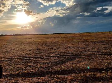 20231024095819731849.jpg · Fazenda para Venda em Silvanópolis