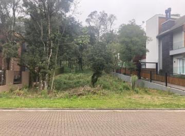 507268.jpg · Terreno - Bairro Carniel
