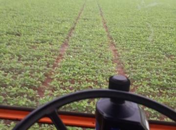 20231116204248815315.jpg · Fazenda para Venda em Canarana