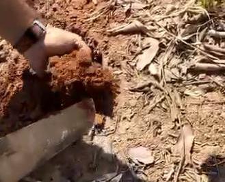 20231217224523699193.png · Fazenda para Venda em Gaúcha do Norte
