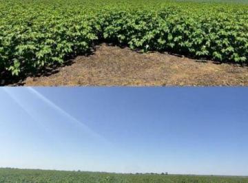 20240207114312942392.jpg · Fazenda para Venda em Bom Jesus da Lapa