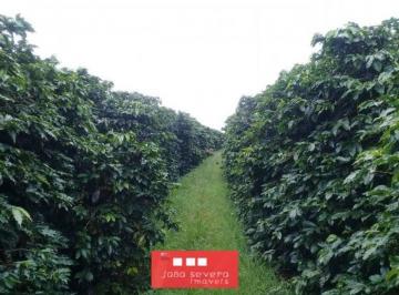 20240217163746109811.jpg · Fazenda para Venda em Itamaraju