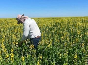 20240319132935899421.jpg · Fazenda para Venda em Nova Xavantina