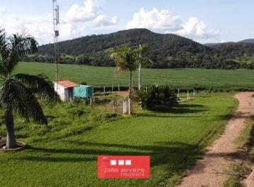 202508292237025138.jpeg · Fazenda para Venda em São Francisco de Goiás, 13 dormitórios, 13 suítes, 13 banheiros
