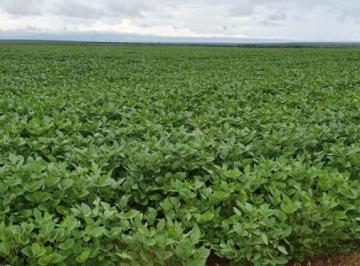 202509181450409007.jpg · Fazenda para Venda em Paranatinga
