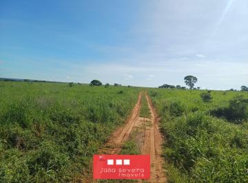 202510031820124479.jpg · Fazenda para Venda em Tesouro
