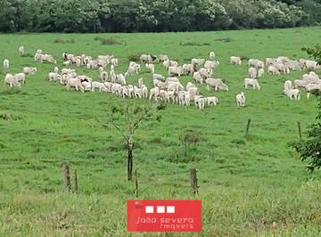 202510161551543968.jpg · Fazenda para Venda em São Paulo