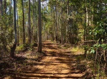 20251016170400571.jpg · Fazenda para Venda em Aiuruoca