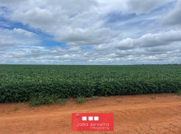 202510161724116331.jpg · Fazenda para Venda em Sorriso, 6 dormitórios, 6 suítes