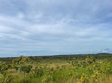 20220701124412367400.jpg · Fazenda para Venda em Santa Maria do Tocantins, Santa Maria do Tocantins