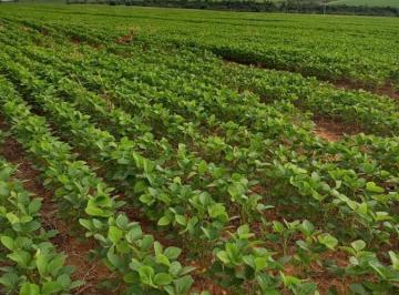 20220824155128814650.jpeg · Fazenda para Venda em Formoso, Formoso