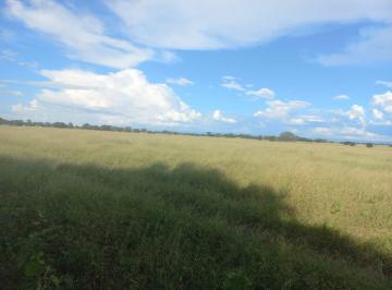 20230224220509385961.jpg · Fazenda para Venda em Jaíba, 1 dormitório, 1 banheiro