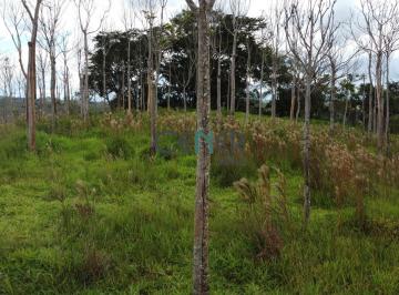 Terreno · 17ha · Terreno para lavoura ou sitio de 17 ha em Entre Rios de Minas