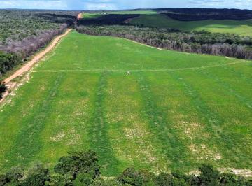 Rural de 3 quartos, Nova Mutum · Fazenda na pecuária