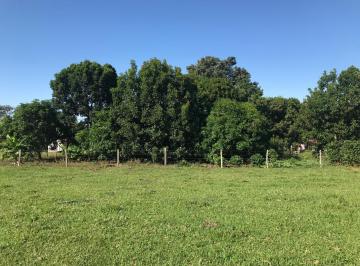 Comercial · SÍTIO PRATÂNIA - PRATÂNIA / SP