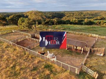 fcb4bdf16df94ca34a511d6e2a22f9d583505b1d · Fazenda em Itiquira - MT
