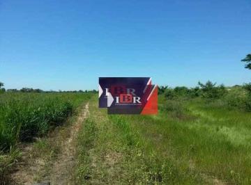 ac6e67e8dc3f5ea9d8c43b26ceefc230c86325cf · Fazenda em Agua Clara - MS
