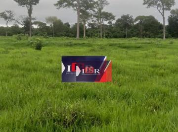 35729a374a25f61df20402d22fccbf8d8e751881 · Fazenda em Bataguassu - MS
