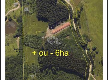 677295_i61k43W_677295678ea8b1c7948.jpg · Terreno em Zona Rural Rio Caçador