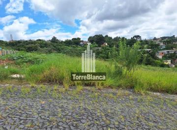 ff142d41-6254-492e-9538-135db92e8d721738259300666.jpg · Terreno à venda, Chapada, Ponta Grossa, PR