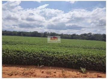 8d62913c72e4bdd77d25b2d4994ee08d.jpg · Fazenda na região de Balsas-MA, com 30 mil hectares, com 13 mil hectares em plantação