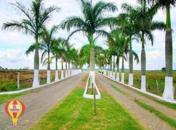19b83632a07e8ba7d6590bc019834df22179caea · Terreno para venda Rodovia Castelo Branco